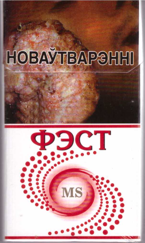 Фэст красный Compact MS